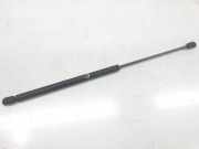 Gasdruckfeder Vorne 1M0823359A Seat Leon (1M1) Schrägheck 5-drs 1.9 TDI 130 (ASZ) 2003