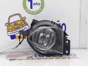 Nebelscheinwerfer Rechts 6948374 BMW SERIE 3 TOURING E91 318d 2006