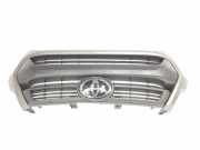Grill 531000KJ91 Toyota Hilux V/VI Pick-up 2.4 D4D-F 16V 4x4 (2GD-FTV)