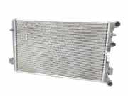 Radiator 1J0121253P Seat Leon (1M1) Schrägheck 5-drs 1.9 TDI 110 (ASV) 2003