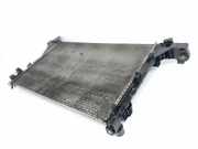 Radiator 214107695R Renault Master III (MA/MB/MC/MD/MH/MF/MG/MH) Van 2.3 dCi 16V (M9T-B6)
