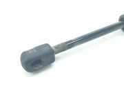 Gasdruckfedern Set Hinten 51241960862 BMW 3 serie (E36/4) Limousine 318 tds (M41-D17(174T1)) 1997