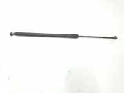 Gasdruckfeder Hinten 51248402405 BMW X5 (E53) SUV 3.0d 24V (M57N-D30(306D2)) 2006