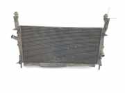 Radiator 1383317 Ford CAJA ABIERTA '06 2.2 TDCi (125 CV) 2013