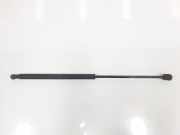 Gasdruckfedern Set Hinten 51812267 Fiat Bravo (198A) Schrägheck 1.4 16V LPG (192.B.2000) 2009