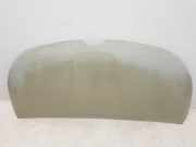 Motorhaube 651224338R Renault L1H1 29t Komfort