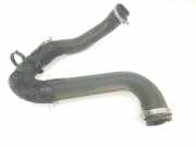 Turbo Leitung 9806788380 Citroën Jumpy Van 1.6 Blue HDi 95 (BHV) 2020
