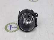 Nebelscheinwerfer Links 63176920865 BMW X5 (E53) SUV 3.0d 24V (M57N-D30(306D2)) 2004