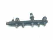 Einspritzdüsen Düsenstock 9674300080 Peugeot Traveller Großraumlimousine 2.0 Blue HDi 150 16V (DW10FD(AHX)) 2017