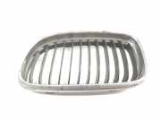 Grill 51137201969 BMW 3 serie (E90) Limousine 318d 16V (N47-D20C) 2010