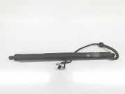 Gasdruckfeder Hinten 7434041 BMW X5 (F15) SUV xDrive 40d 3.0 24V (N57-D30B) 2017