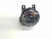 Nebelscheinwerfer Rechts DEPO086612019N1B Peugeot Expert (V1/VA/VB/VE/VF/VT/VY) Van 1.5 BlueHDi 100 (DV5RUCd(YHR))