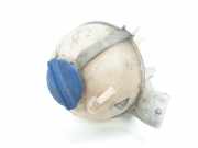 Ausgleichbehälter 9065010103 Volkswagen Crafter Van 2.0 TDI 16V (CKTC) 2015 CKTC