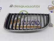 Grill Gitter Links 51137120009 BMW 3 serie (E90) Limousine 330i 24V (N53-B30A) 2008