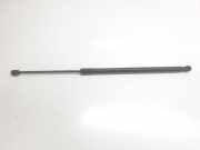 Gasdruckfedern Set Hinten 51247456042 BMW 1 serie (F40) Schrägheck 118d 2.0 16V (B47-C20B)