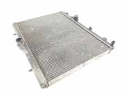 Radiator 133391 Peugeot Premium