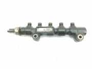 Einspritzdüsen Düsenstock 1570G2 Peugeot Bipper (AA) Van 1.4 HDi (DV4TD(8HS)) 2009