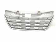 Grill 623100256R Renault Master III (MA/MB/MC/MD/MH/MF/MG/MH) Van 2.3 dCi 16V (M9T-B8) 2013
