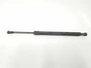 Gasdruckfedern Set Hinten 51247250308 BMW 3 serie (E90) Limousine 318d 16V (N47-D20A) 2007