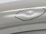 T?r Links Vorne 801010179R Renault L1H1 29t Komfort