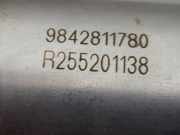 Kraftstoff-Injector 9842811780 Citroën Berlingo Van 1.5 BlueHDi 100 (DV5RCF(YHT))