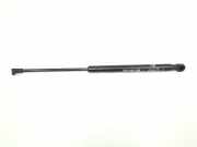 Gasdruckfeder Hinten 51247060622 BMW 1 serie (E87/87N) Schrägheck 5-drs 120d 16V (N47-D20A) 2007