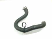 Intercooler Schlauch 9820100780 DS DS 7 SUV 1.5 BlueHDI 130 (DV5RC(YHZ)) DV5RC(YHZ)