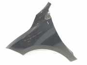 Kotflügel Links Vorne 631010047R Renault Megane III Coupe (DZ) Schrägheck 3-drs 1.9 dCi (F9Q-872(F9Q-P8)) 2010