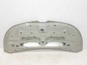 Motorhaube 651224338R Renault L1H1 29t Komfort