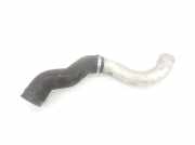Intercooler Schlauch 11617794335 BMW X5 (E53) SUV 3.0d 24V (M57N-D30(306D2)) 2004