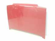 Motorhaube 7751465300 Renault 1.1 (46 CV) 1989