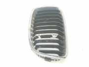 Grill Gitter Links 51137239021 BMW 1 serie (F20) Schrägheck 5-drs 116d 2.0 16V (N47-D20C) 2014