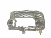 Grill Gitter Links LR045034 Land + Range Rover Range Rover Sport (LW) Geländewagen 3.0 SDV6 (306DT) 2014