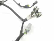Kabel 9848613780 Citroën CITROEN Shine XL 2022