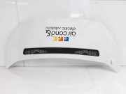 Motorhaube 1440223388 Fiat Scudo (270) Van 1.6 D Multijet (DV6UTED4(9HU)) 2011