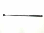 Gasdruckfeder Vorne 4L0823359 Audi Q7 (4LB) SUV 3.0 TDI V6 24V (CASA) 2010