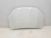 Motorhaube 651004113R Dacia Logan Express (FS) Van 1.4 (K7J-710)