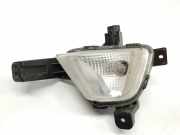 Nebelscheinwerfer Rechts 92208G4000 Hyundai PD Klass