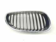 Grill Gitter Rechts 51137027062 BMW 5 serie (E60) Limousine 520d 16V Edition Fleet (M47N(204D4)) 2007