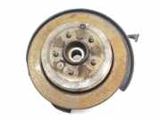 Achsschenkel Links Hinten RLH500030 Land + Range Rover Range Rover Sport (LS) Geländewagen 2.7 TDV6 24V (276DT) 2007