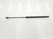 Gasdruckfeder Hinten 8P3827552C Audi A3 (8P1) Schrägheck 3-drs 2.0 TDI 16V (BKD) 2004