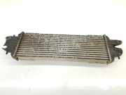 Ladeluftk?hler 8200219497A Renault Trafic New (JL) Bus 2.5 dCi 16V 135 (G9U-730) 2001