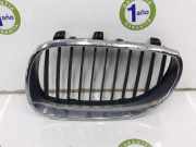 Grill Gitter Links 51137027061 BMW 5 serie (E60) Limousine 520d 16V Corporate Lease (M47-D20(204D4)) 2005