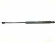 Gasdruckfedern Set Hinten 51778432 Fiat Grande Punto (199) Schrägheck 1.4 (350.A.1000) 2006