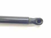 Gasdruckfedern Set Hinten 654702264R Renault Kangoo Express (RFK) Van 1.5 Blue dCi 115 (K9K-876)
