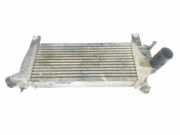 Ladeluftkühler 14461EB360 Nissan Pathfinder (R51) SUV 2.5 dCi 16V 4x4 (YD25DDTi) 2007