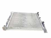 Radiator 8200455801 Renault Kangoo Express (FW) Van 1.5 dCi 90 FAP (K9K-628(K9K-E6))