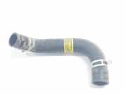 Leitung 25415G4100 Hyundai i30 (PDEB5/PDEBB/PDEBD/PDEBE) Schrägheck 1.5 DPi 16V (G4LG) 2022