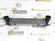 Ladeluftkühler 17517524916 BMW 1 serie (E87/87N) Schrägheck 5-drs 118d 16V (N47-D20C) 2007