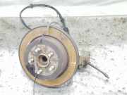 Achsschenkel Halter Links Hinten 6H525A969AF Land + Range Rover Freelander II Geländewagen 2.2 tD4 16V (224DT)